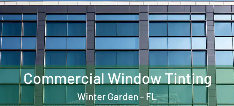  Commercial Window Tinting Winter Garden - FL