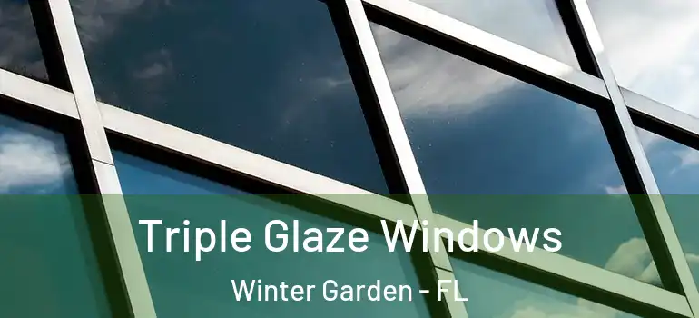  Triple Glaze Windows Winter Garden - FL